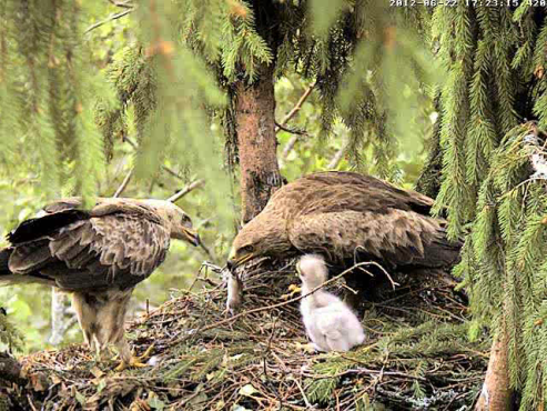 vlcsnap-2012-06-22-17h24m58s42.png