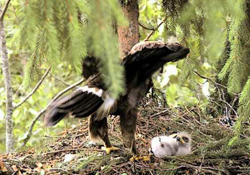 vlcsnap-2012-06-22-17h24m27s252.png