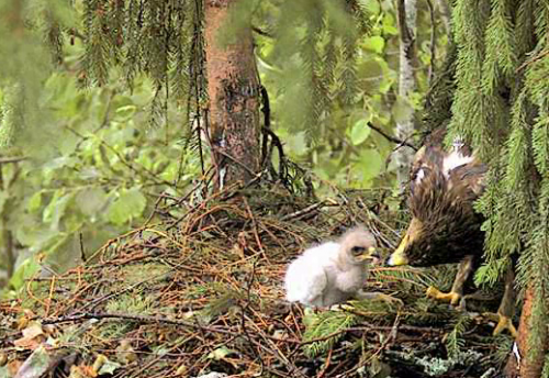 vlcsnap-2012-06-23-09h39m46s188.png