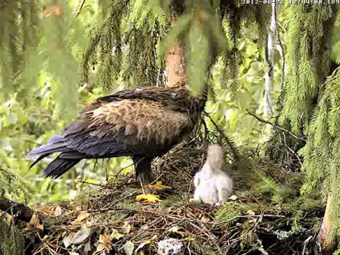 vlcsnap-2012-06-23-12h46m38s178.png