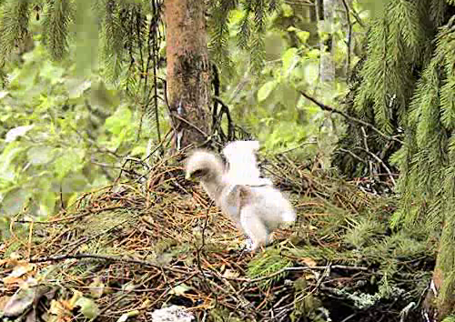 vlcsnap-2012-06-23-12h32m50s180.png