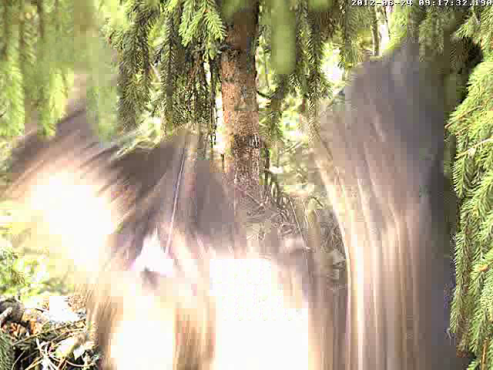 vlcsnap-2012-06-24-09h19m08s170.png