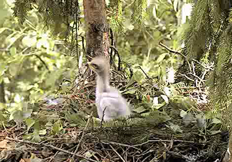 vlcsnap-2012-06-24-15h30m16s225.png
