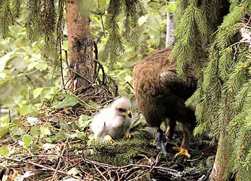 vlcsnap-2012-06-25-10h10m39s30.png