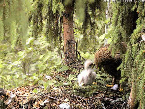 vlcsnap-2012-06-25-10h09m58s137.png