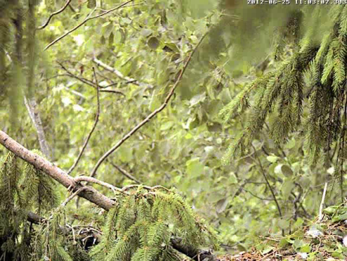 vlcsnap-2012-06-25-11h04m52s48.png