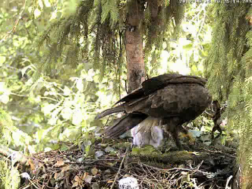 vlcsnap-2012-06-25-16h26m58s208.png