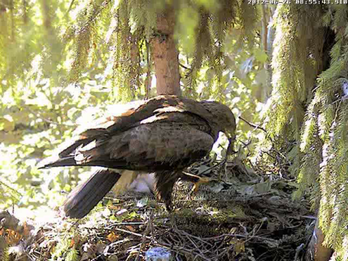 vlcsnap-2012-06-26-08h57m28s23.png