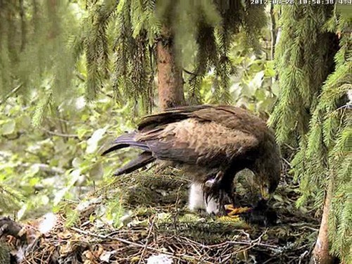 vlcsnap-2012-06-26-10h52m24s35.jpg