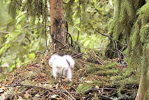 vlcsnap-2012-06-26-19h23m53s114.png