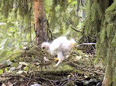 vlcsnap-2012-06-27-13h52m00s47.png