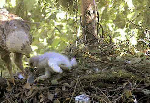 vlcsnap-2012-06-27-15h40m39s213.png