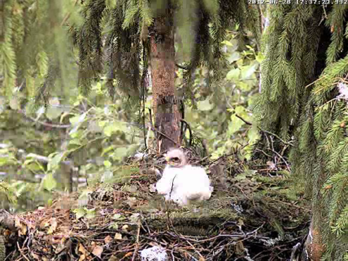 vlcsnap-2012-06-28-17h39m13s199.png
