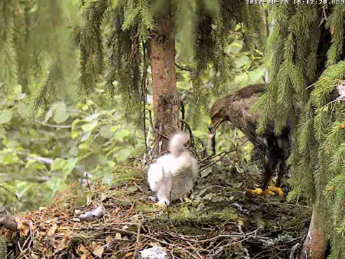 vlcsnap-2012-06-28-18h14m07s147.png