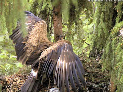 vlcsnap-2012-06-28-18h13m50s236.png