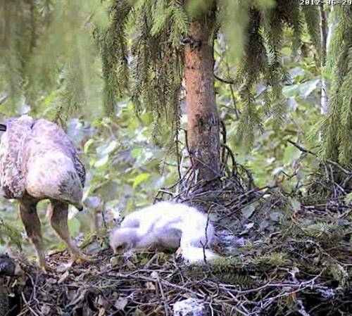 vlcsnap-2012-06-29-09h58m42s90.jpg