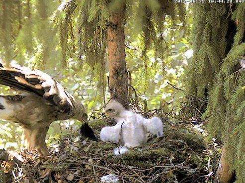 vlcsnap-2012-06-29-10h46m10s40.png
