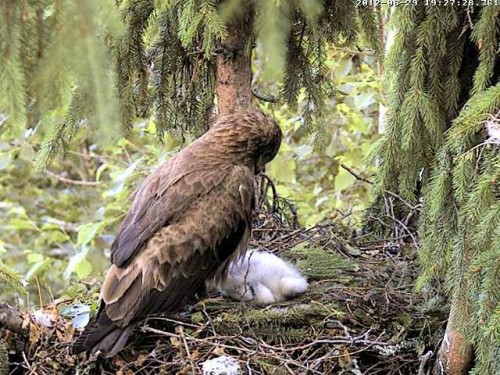vlcsnap-2012-06-29-19h29m19s190.jpg