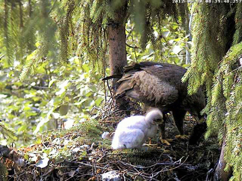 vlcsnap-2012-06-30-08h41m33s62.png