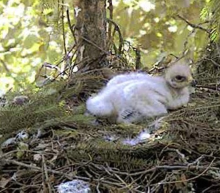 vlcsnap-2012-06-30-11h43m41s175.jpg