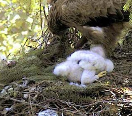 vlcsnap-2012-06-30-11h56m54s165.jpg
