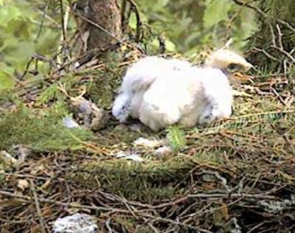 vlcsnap-2012-06-30-14h01m57s187.jpg