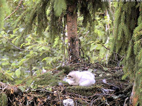 vlcsnap-2012-06-30-18h05m55s195.png