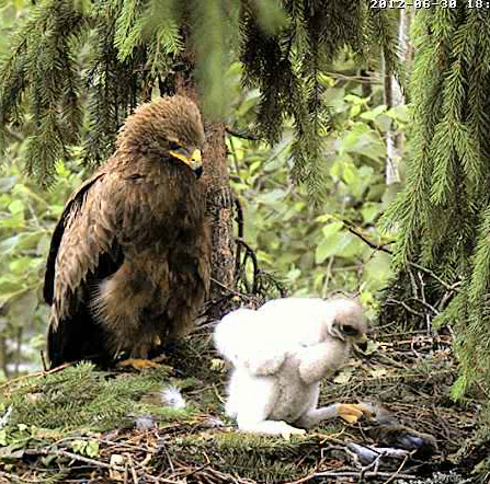 vlcsnap-2012-06-30-18h25m20s76.png