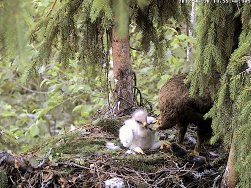 vlcsnap-2012-06-30-19h57m42s138.jpg