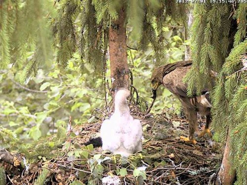 vlcsnap-2012-07-01-19h17m43s186.jpg