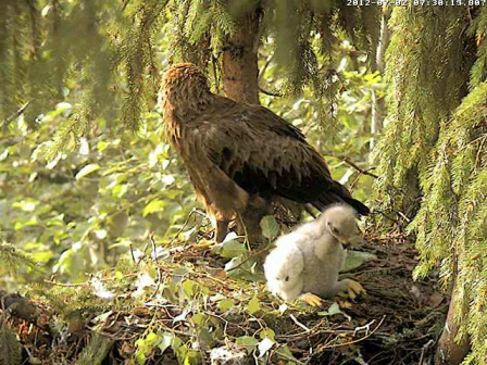vlcsnap-2012-07-02-07h32m05s68.png