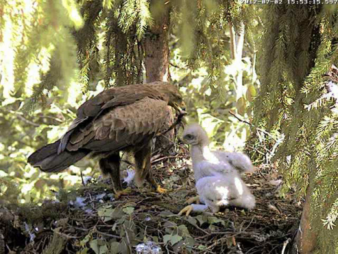 vlcsnap-2012-07-02-15h55m21s180.png