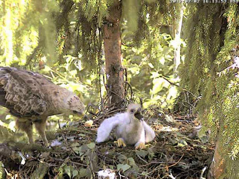 vlcsnap-2012-07-02-16h26m13s13.png