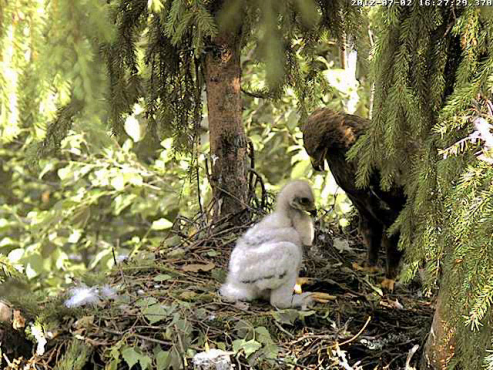 vlcsnap-2012-07-02-16h29m40s36.png