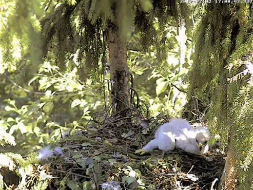 vlcsnap-2012-07-02-17h02m52s239.png
