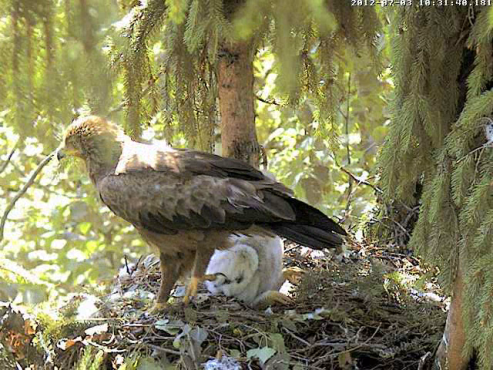 vlcsnap-2012-07-03-10h33m37s9.png