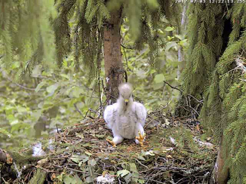 vlcsnap-2012-07-03-12h24m05s243.png