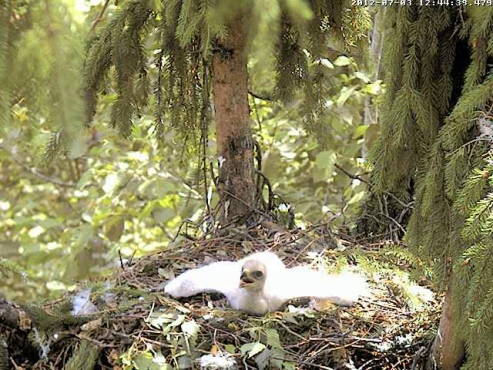 vlcsnap-2012-07-03-12h46m35s178.png