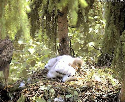 vlcsnap-2012-07-03-13h04m45s113.jpg