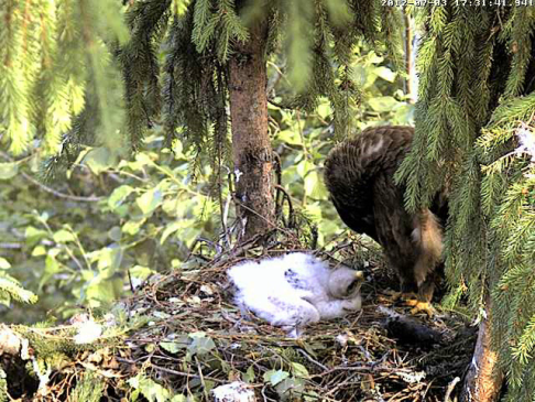 vlcsnap-2012-07-03-17h33m35s249.png