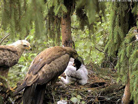 vlcsnap-2012-07-04-10h25m44s116.png