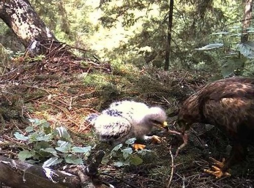 tuule 04.07.12 12.02.JPG
