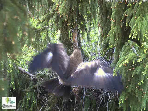 vlcsnap-2011-05-18-19h56m16s64.png