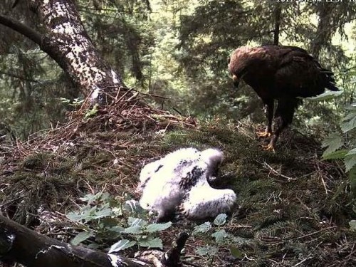 tuule 04.07.12 16.05.JPG