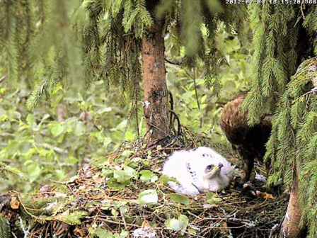 vlcsnap-2012-07-04-18h17m26s133.png