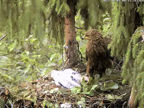 vlcsnap-2012-07-05-08h53m19s135.png