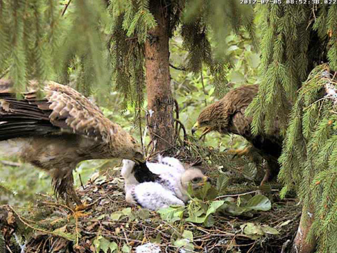 vlcsnap-2012-07-05-09h51m13s58.png