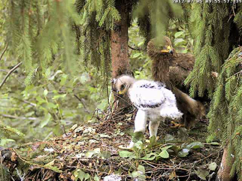 vlcsnap-2012-07-05-10h02m01s139.png