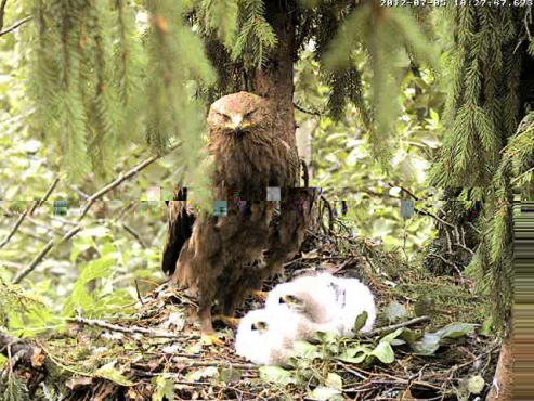 vlcsnap-2012-07-05-10h25m35s197.png