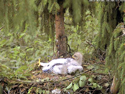 vlcsnap-2012-07-05-16h42m11s187.png